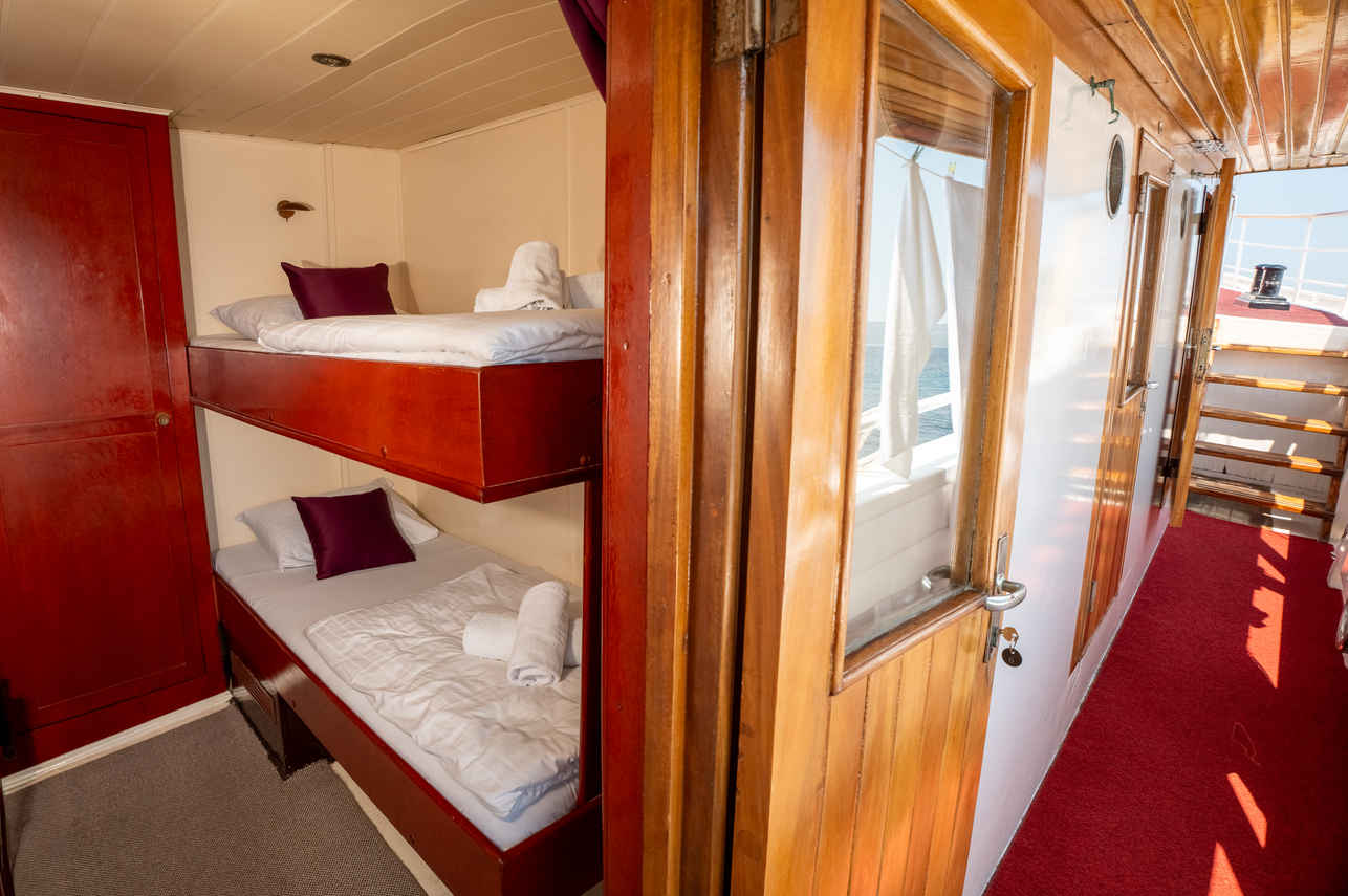 Standard Bunk Cabin - Idriva Comfort Plus