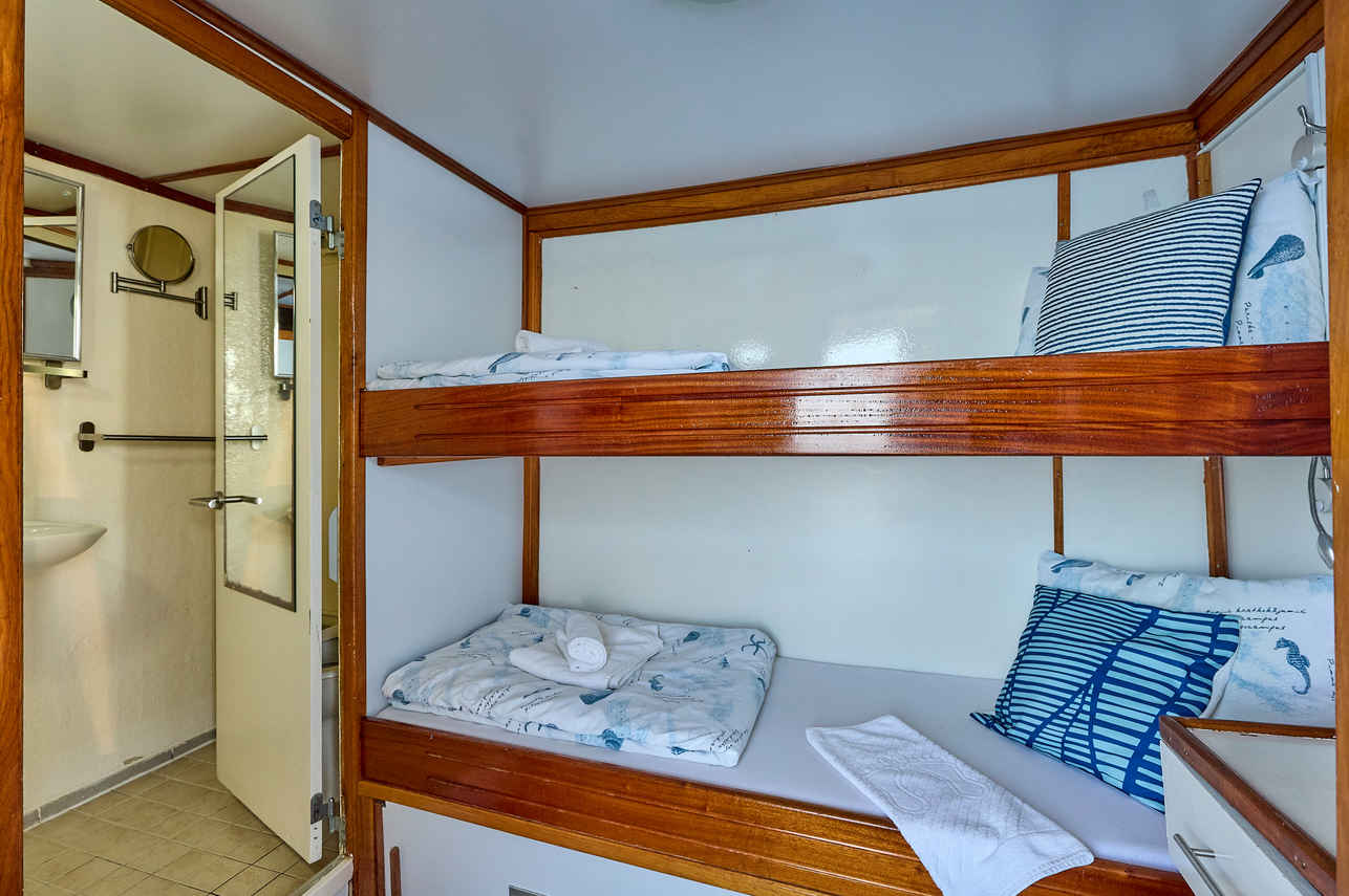 スタンダードバンクベッド客室 - Idriva Comfort Plus