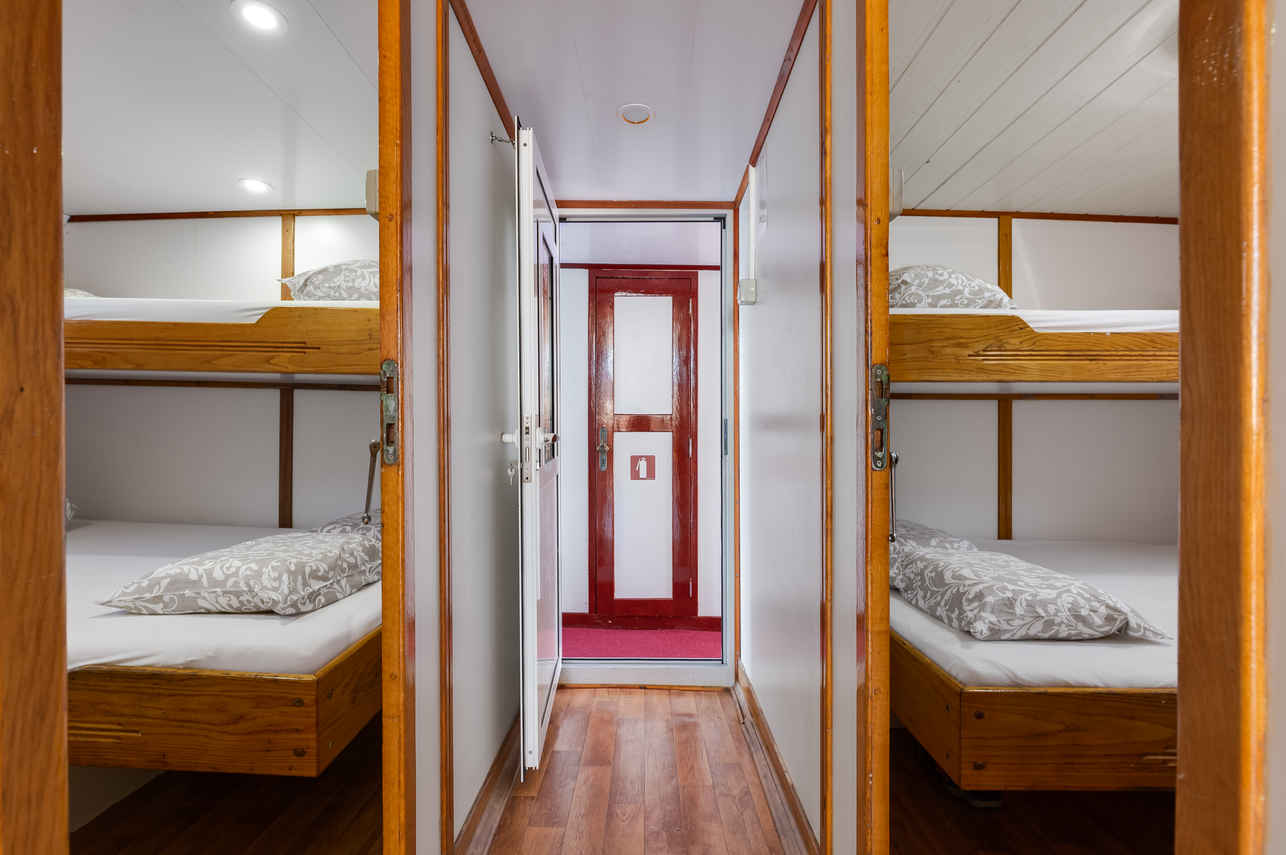 スタンダードバンクベッド客室 - Idriva Comfort Plus