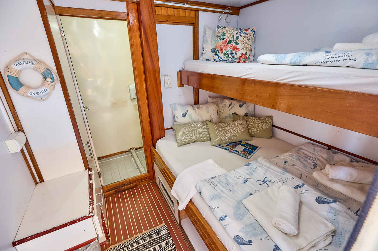 #triplecabin  - Idriva Comfort Plus