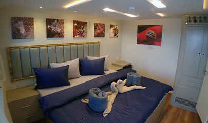 Suite Cabin