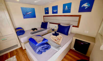 Suite Cabin