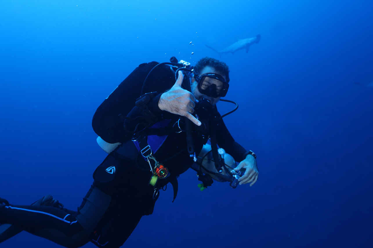 Diving - All Star Red Sea