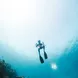 Diving