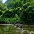 Island Exploration - Bugis