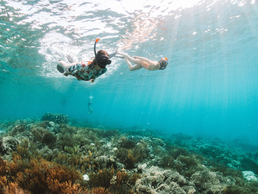 Snorkelling  - Bugis