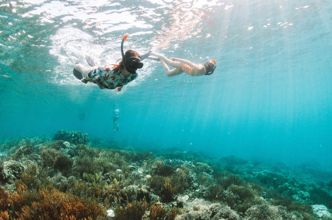 Snorkelling - Bugis