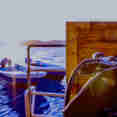 #divetender - Amalia Komodo