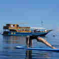Amalia Indonesia