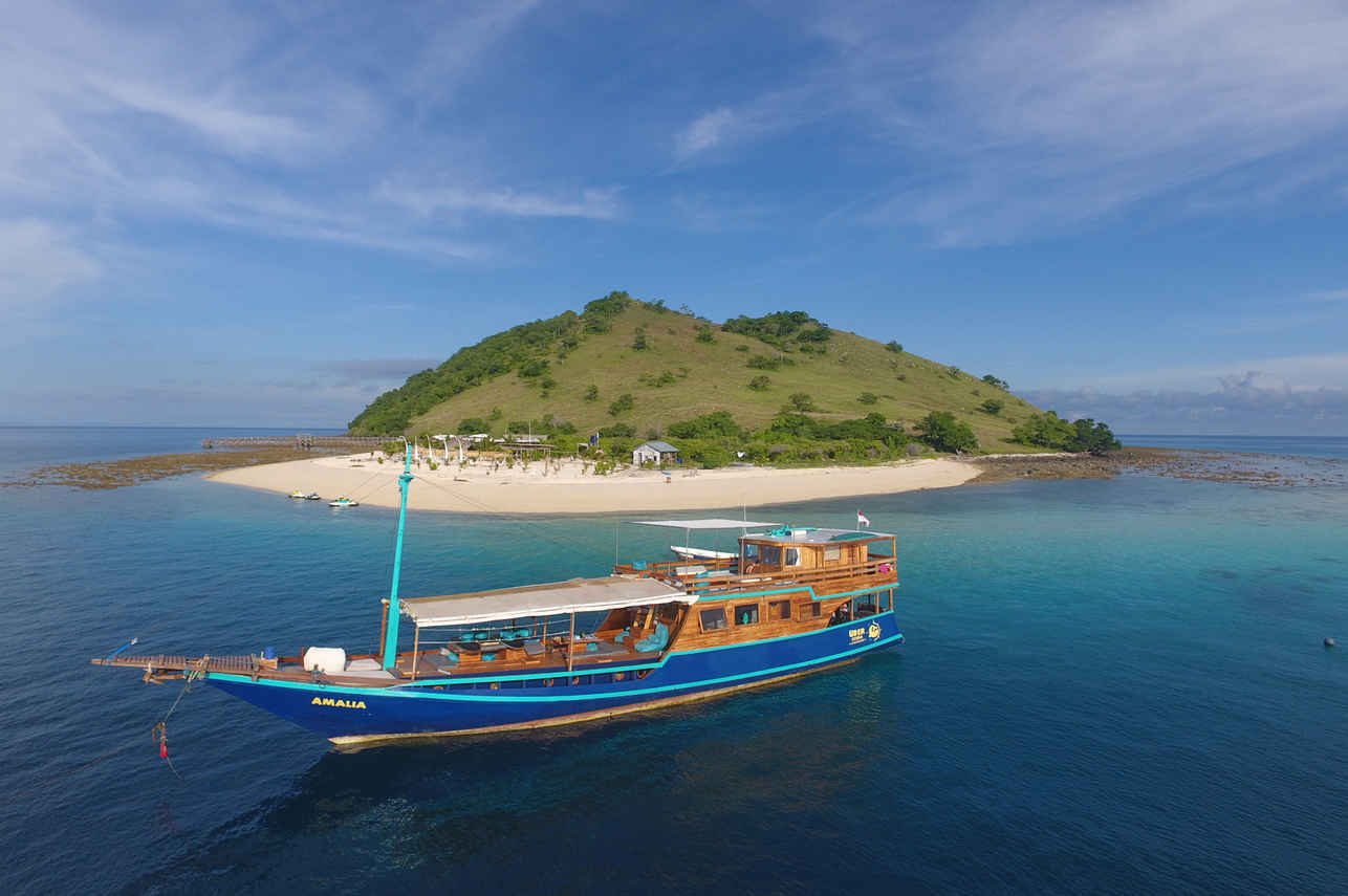 Amalia Indonesia