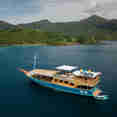 Amalia Indonesia