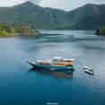 Amalia Indonesia