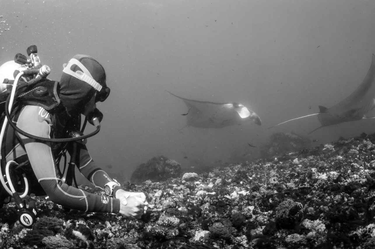 Underwater Exploration
