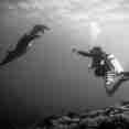Underwater Exploration