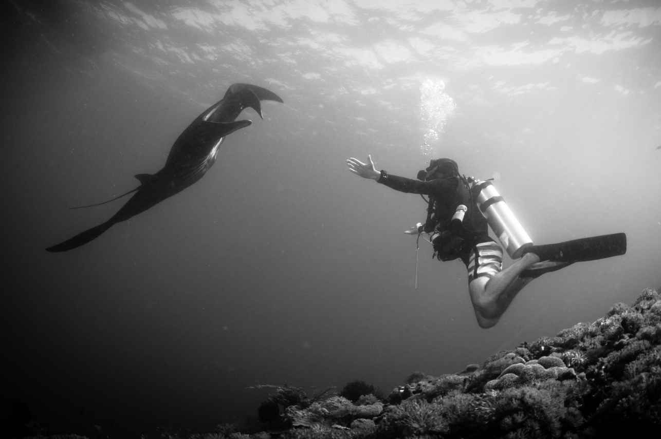 Underwater Exploration