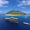 Amalia Indonesia