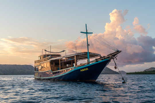 Amalia Indonesia