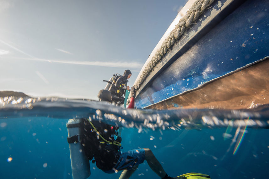 Diving - Amalia Indonesia