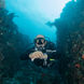 Diving - Amalia Indonesia