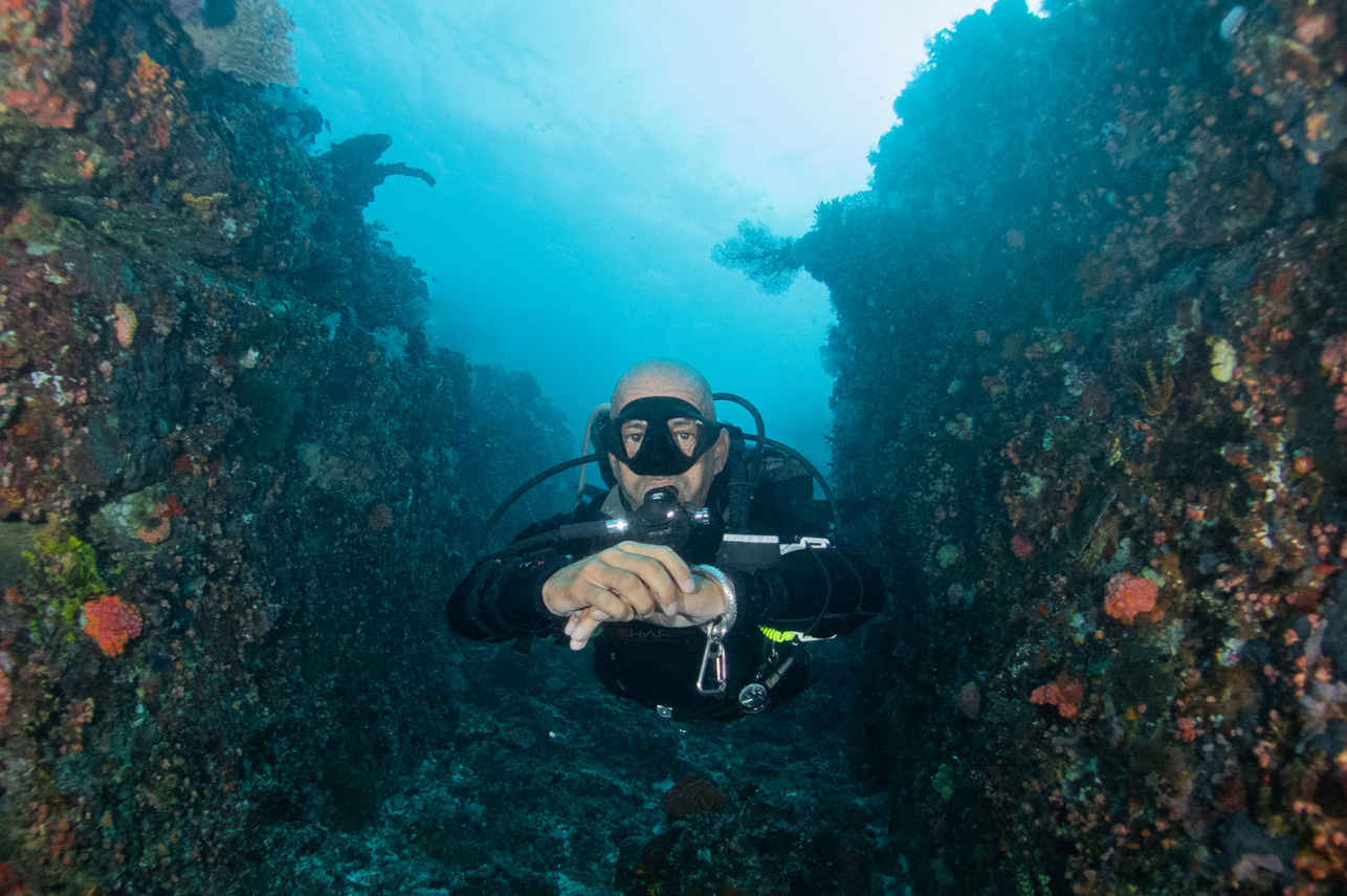 Diving