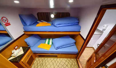Bunk Bed Lower Deck