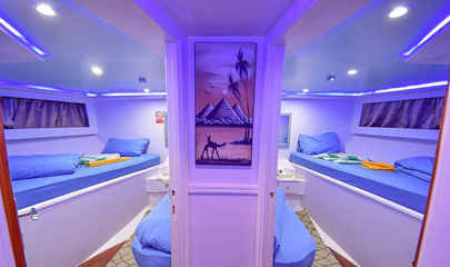 Bunk Bed Main Deck