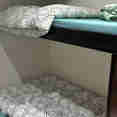 Standard Bunk Cabin - Iceberg