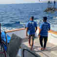 Dive deck - Iceberg