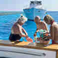 Snorkelling - Iceberg