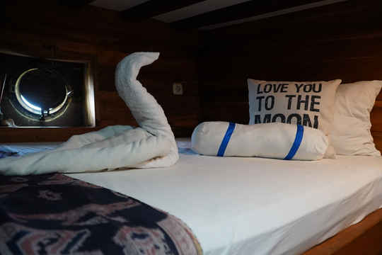Standard Cabin