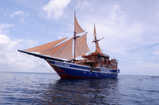 EcoXplorer