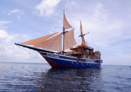 EcoXplorer