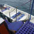 Tenders for diving - EcoXplorer