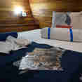 Standard Cabin - EcoXplorer