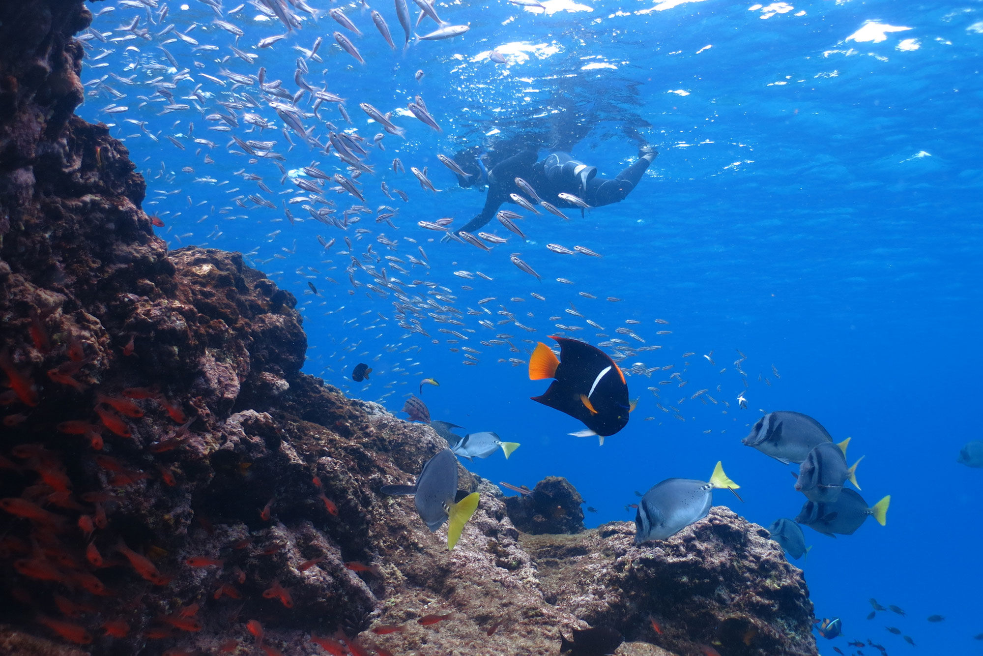 Snorkeling - Galaxy Sirius