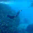 Snorkelling - Galaxy Sirius