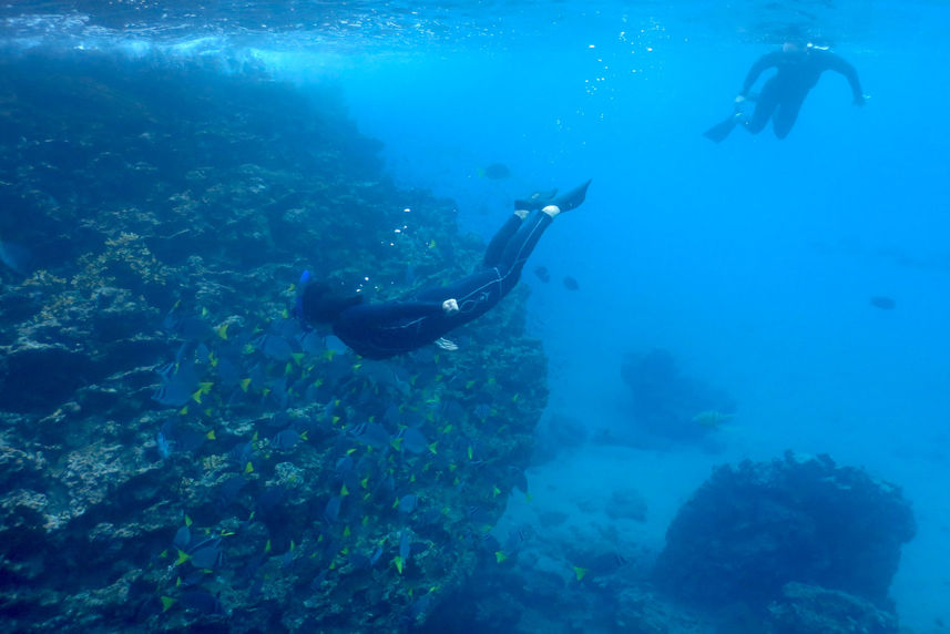 Snorkeling - Galaxy Sirius