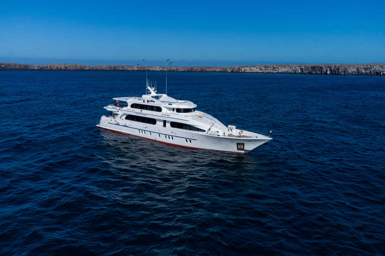 Grand Daphne