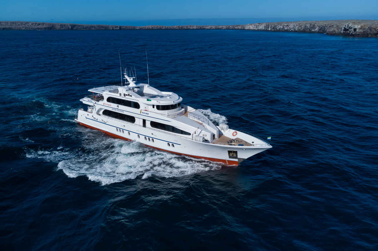 Grand Daphne
