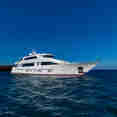 Grand Daphne