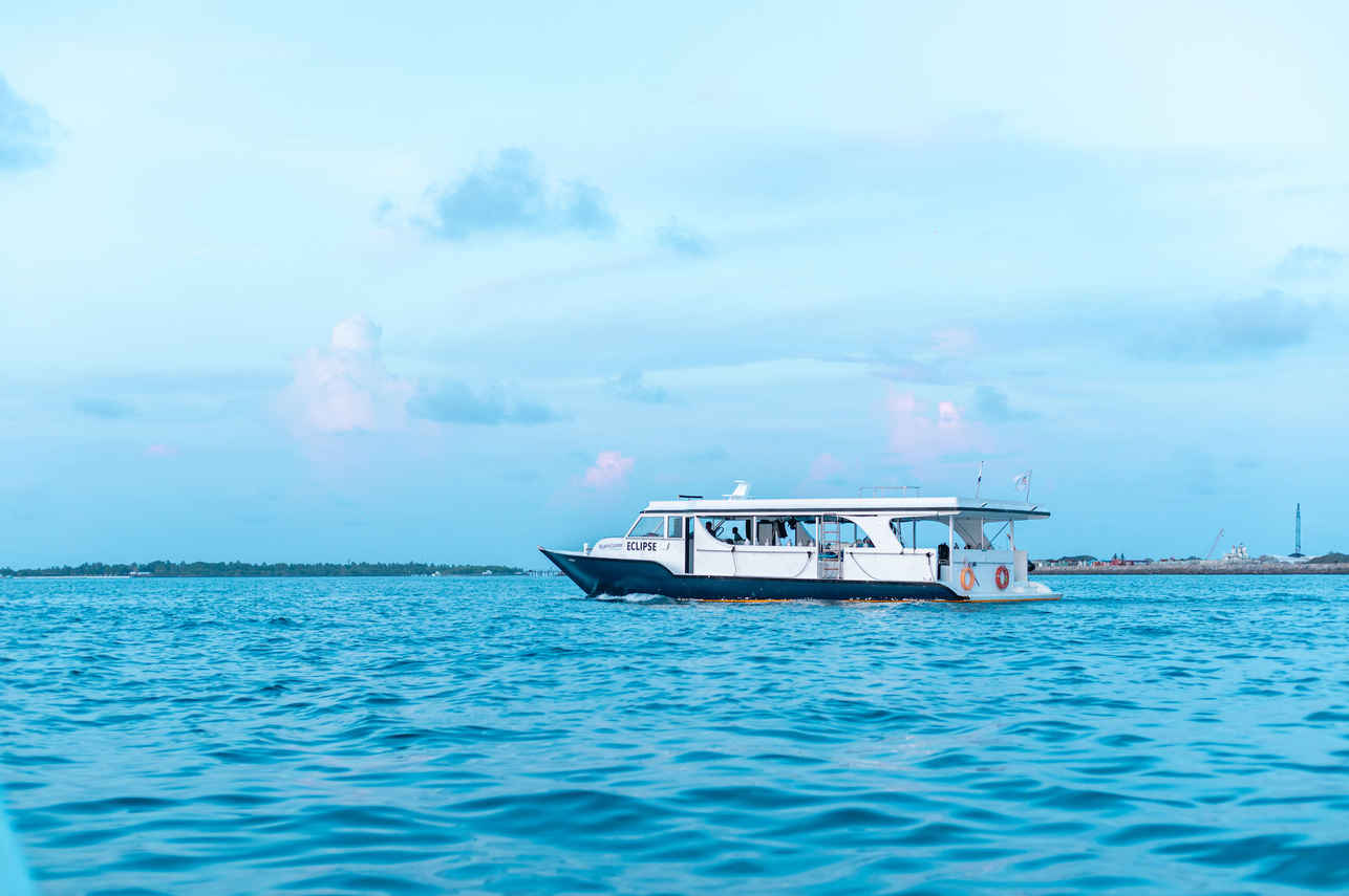 Diving Dhoni - Maldives Legend Odyssey