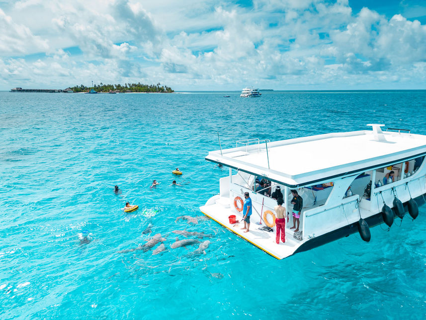 Diving Dhoni - Maldives Legend Odyssey