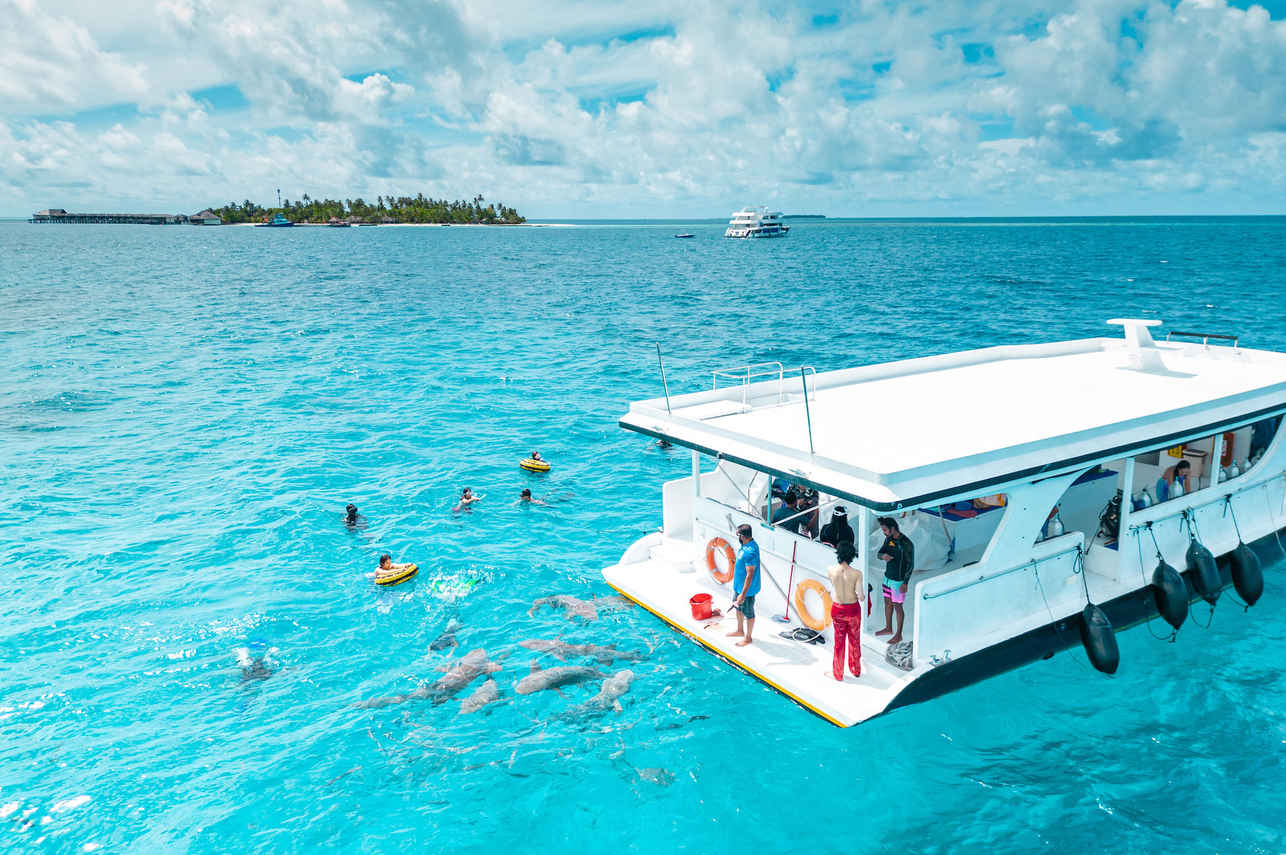 Diving Dhoni - Maldives Legend Odyssey