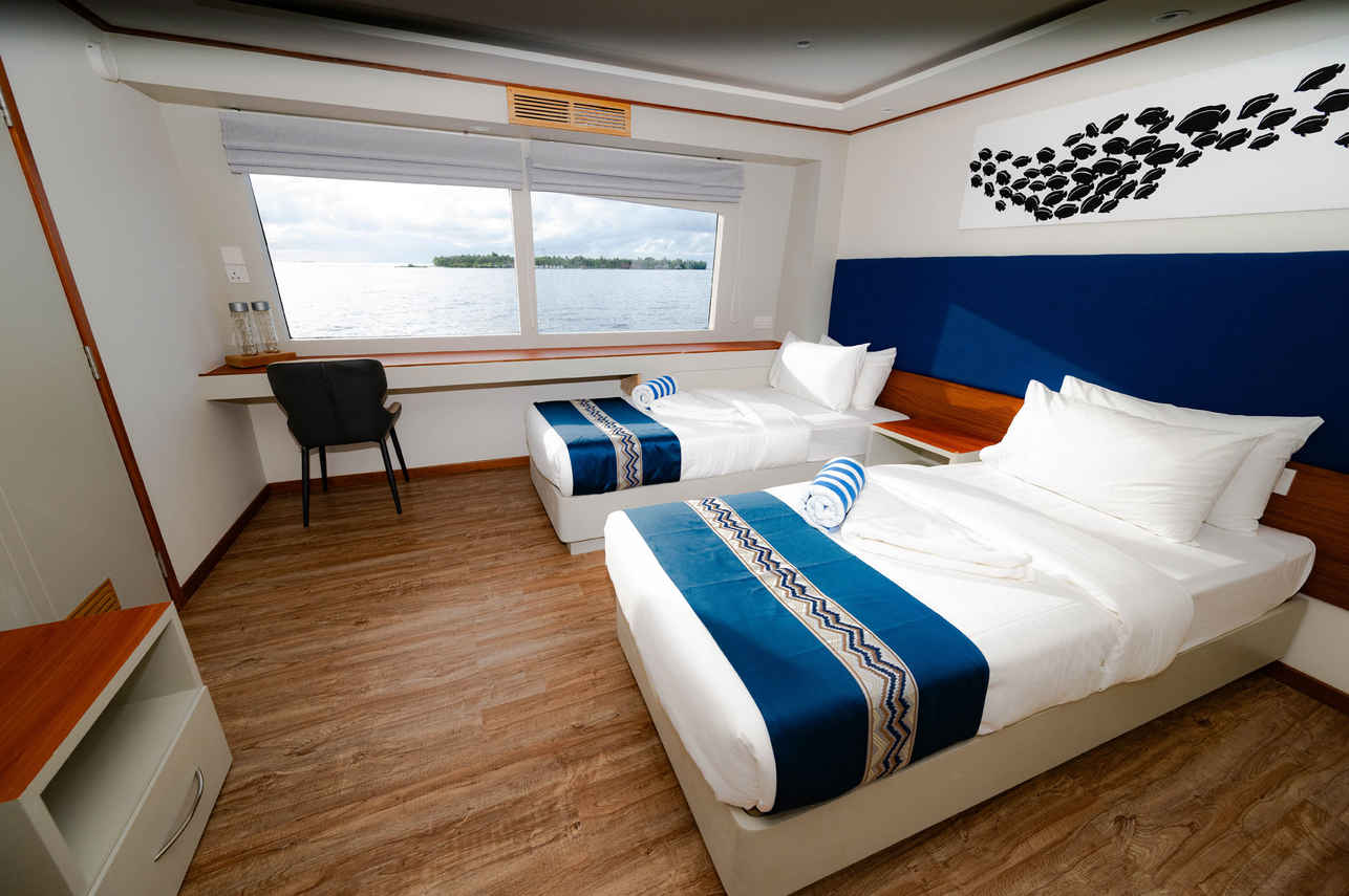 Cabine Dupla Solteiro - EcoPro Seascape