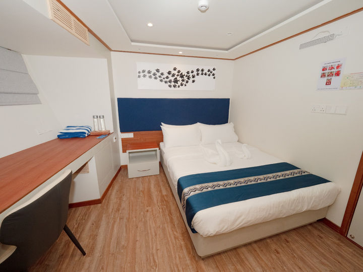 Main Deck Cabins