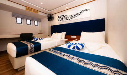 Lower Deck Double/Twin Cabins