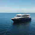 Arora Virgo