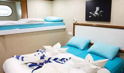 Lower Deck Double/Twin or Family Cabin