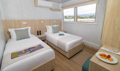 Main Deck Standard Cabins