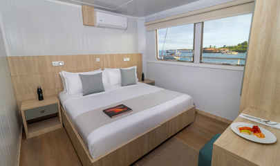 Main Deck Standard Cabins